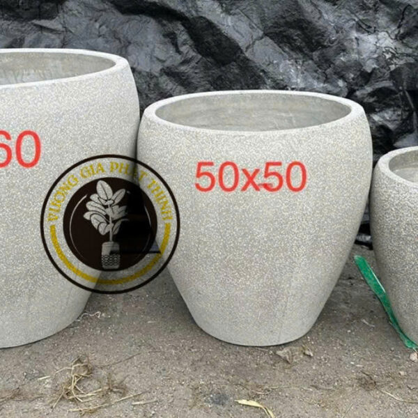 Chậu đá mài Chivas