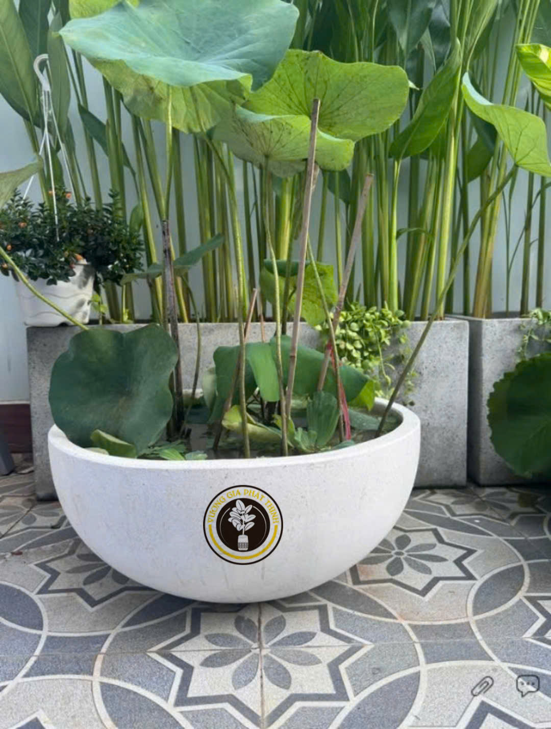 z7271478957636_deb7734cdff4e6e6c2831b99cfc985bb