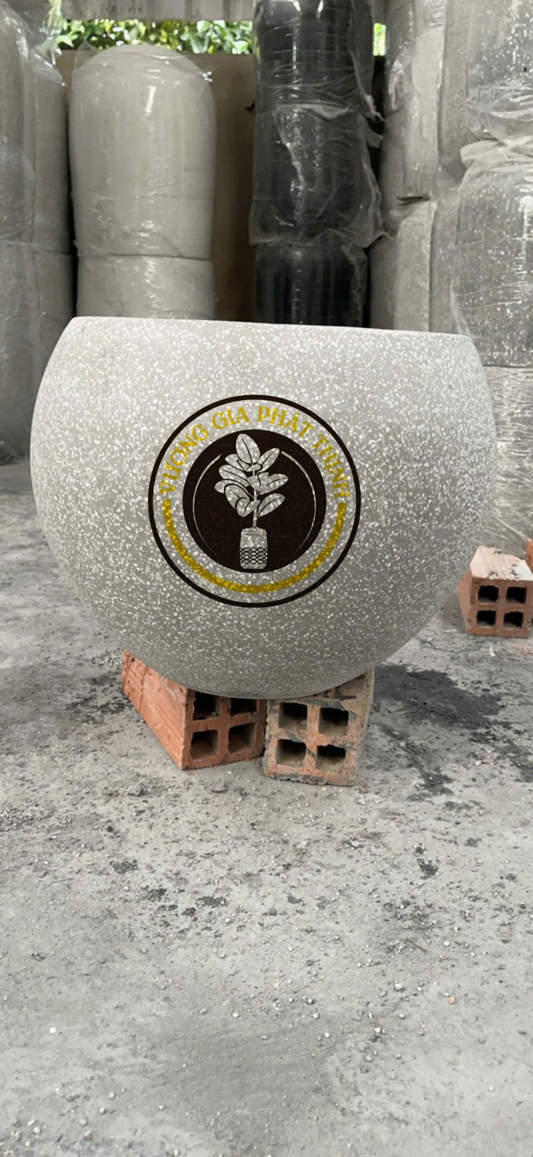 z7271479258233_08cac74abf46a11a332cf52a8dfe1001