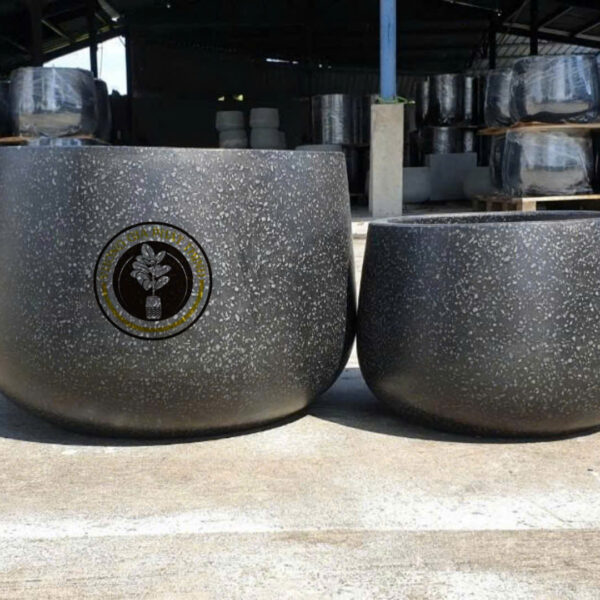 Chậu Đá Mài Lùn Lùn