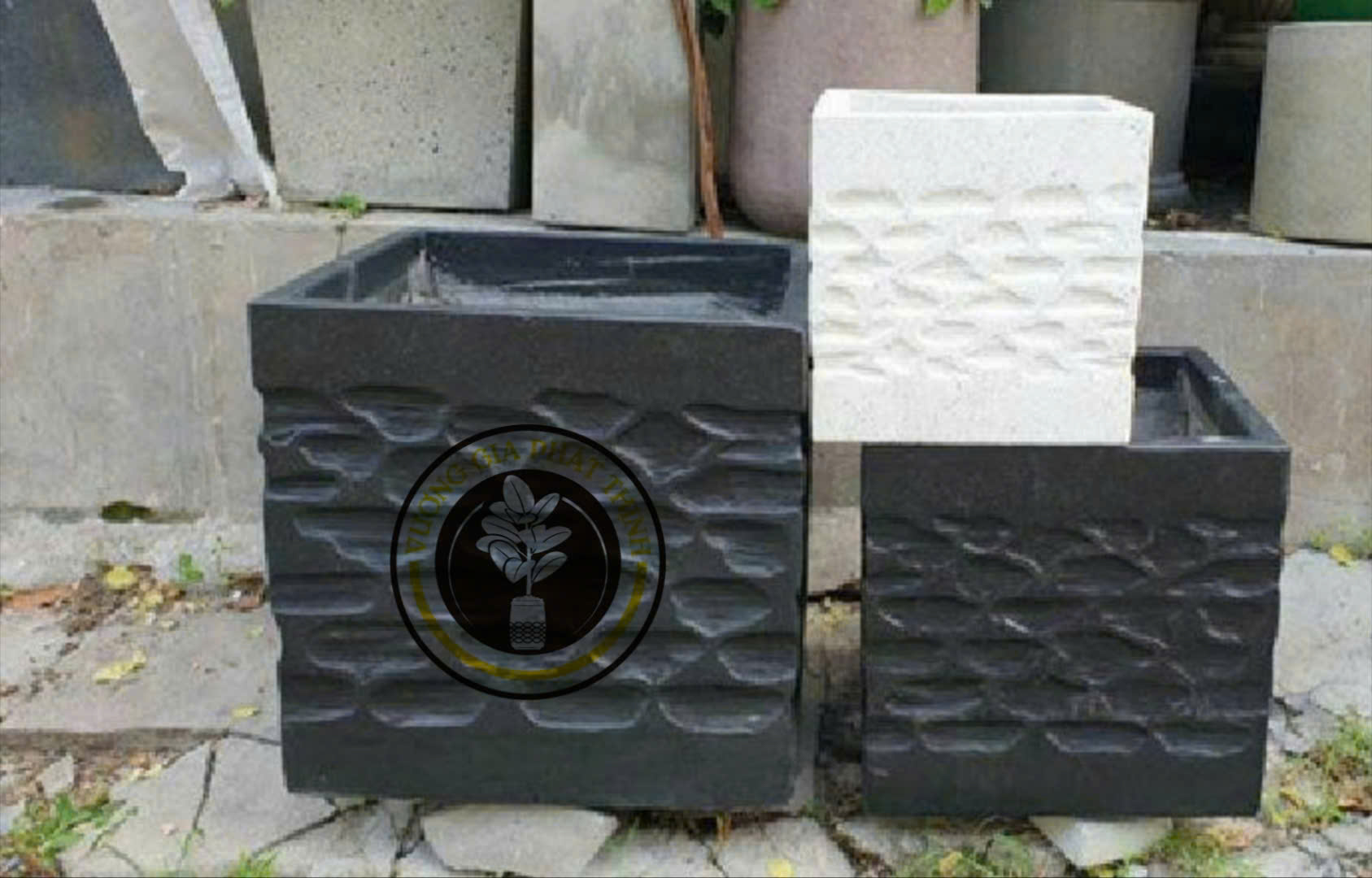 z7279902733457_422bbd8568584ce8c79d1027905c717e