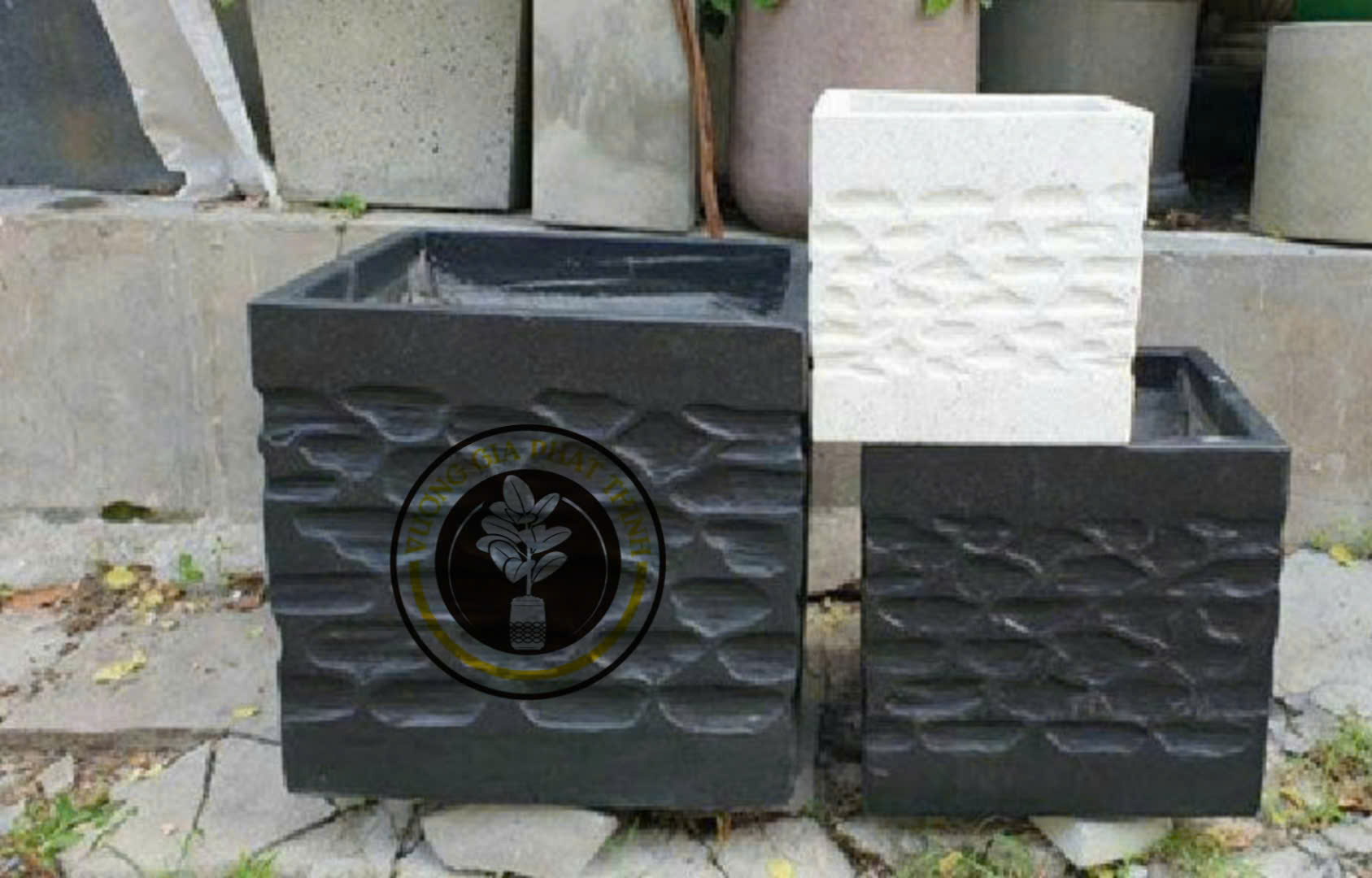 z7279902739726_ef32216a23db52ee26b1252fa362b551