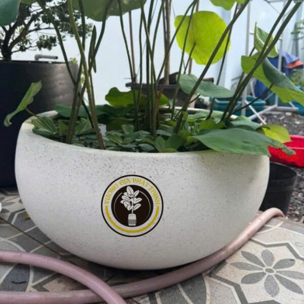 CHẬU ĐÁ MÀI TÔ ( Trồng SEN,SÚNG)