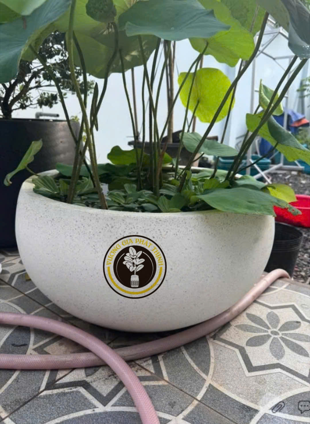 z7271576322718_9ae87db49ee694567723fc31c3de24dc